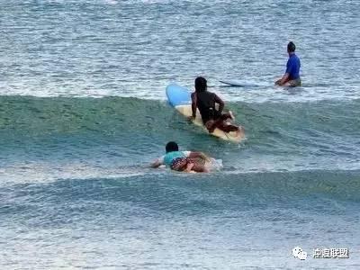 海岛大亨5